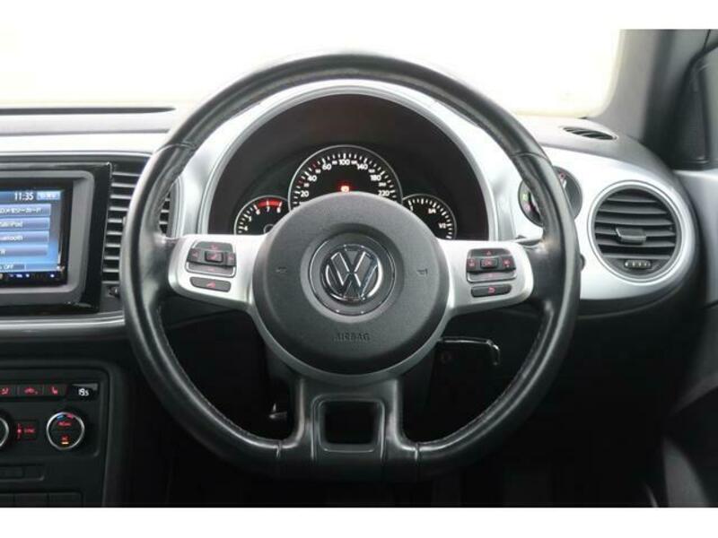 THE BEETLE