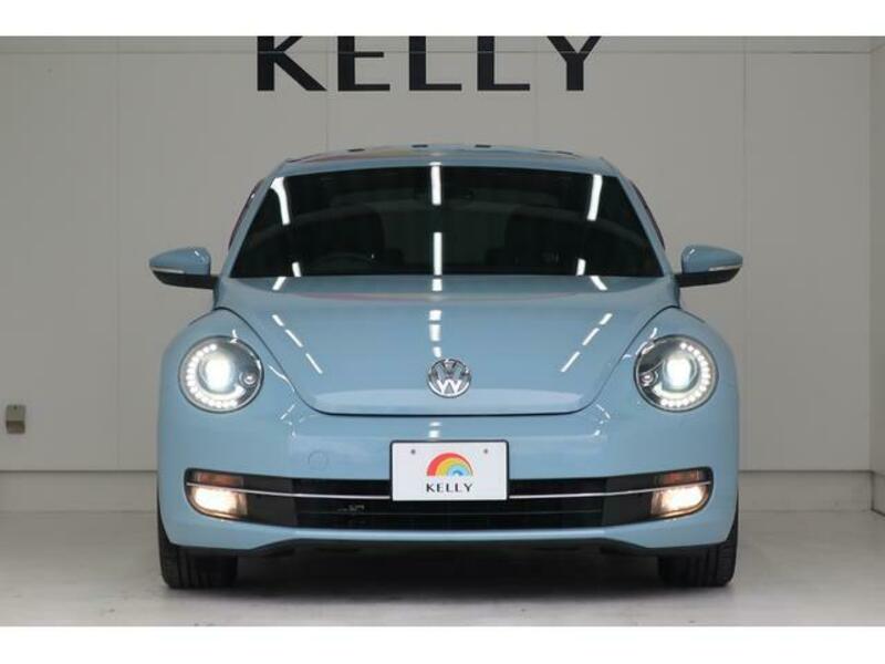 THE BEETLE