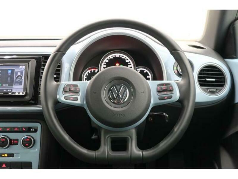 THE BEETLE