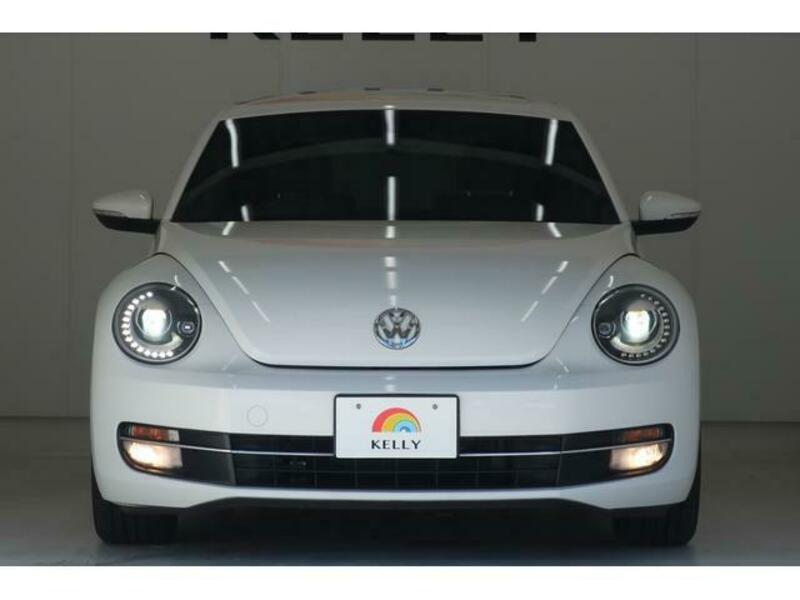 THE BEETLE