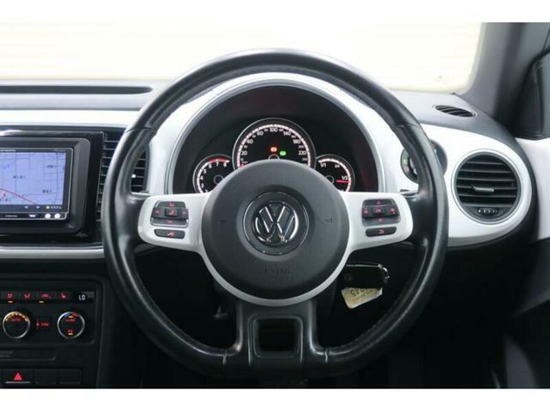 THE BEETLE