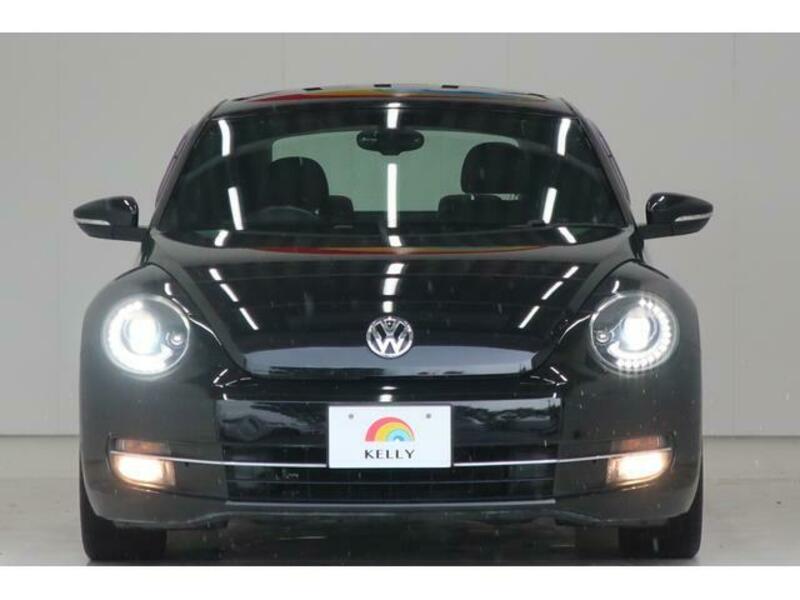 THE BEETLE