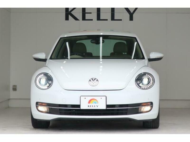 THE BEETLE