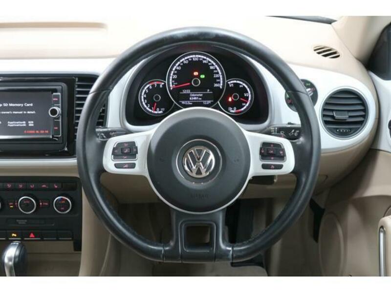 THE BEETLE