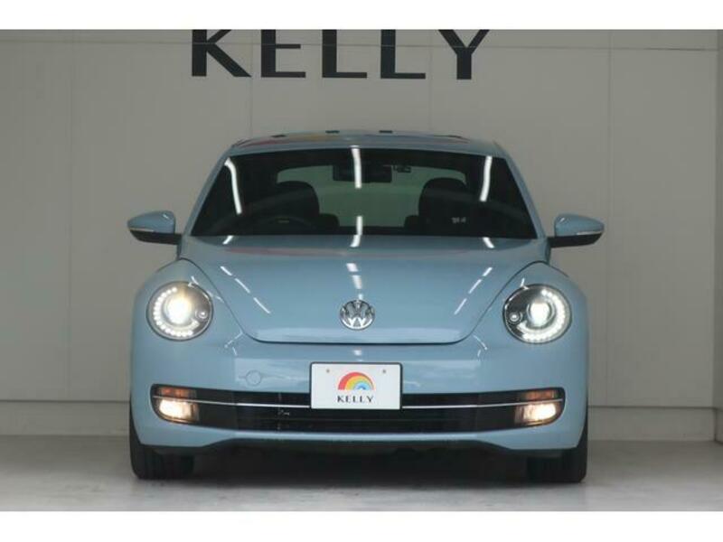 THE BEETLE
