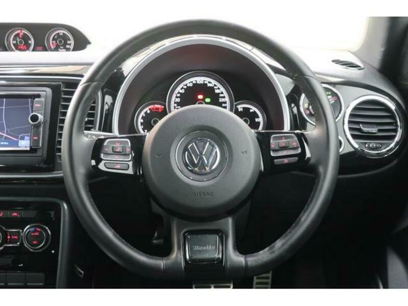 THE BEETLE