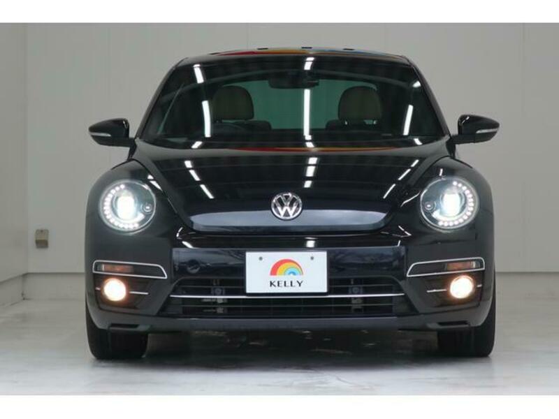 THE BEETLE