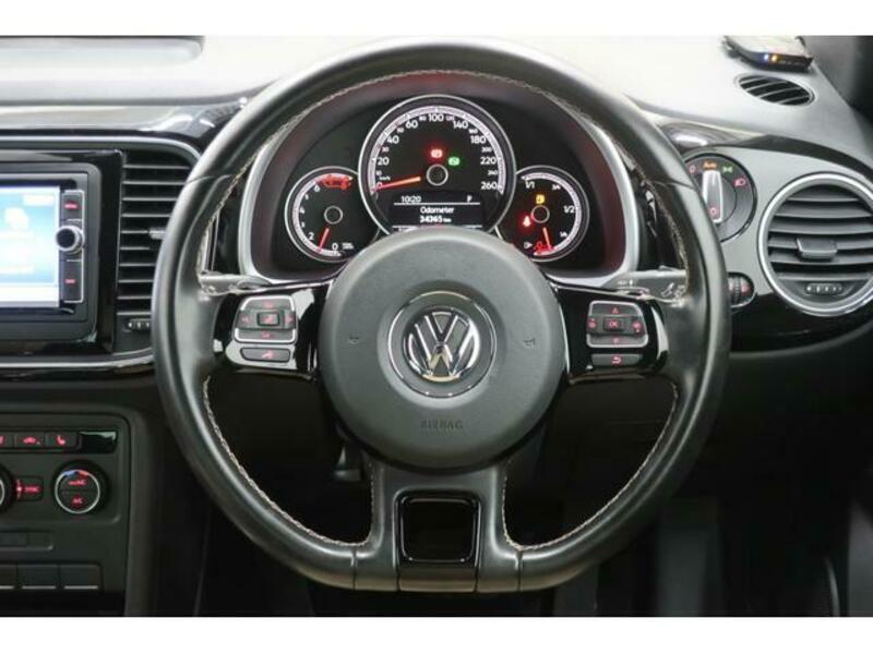 THE BEETLE