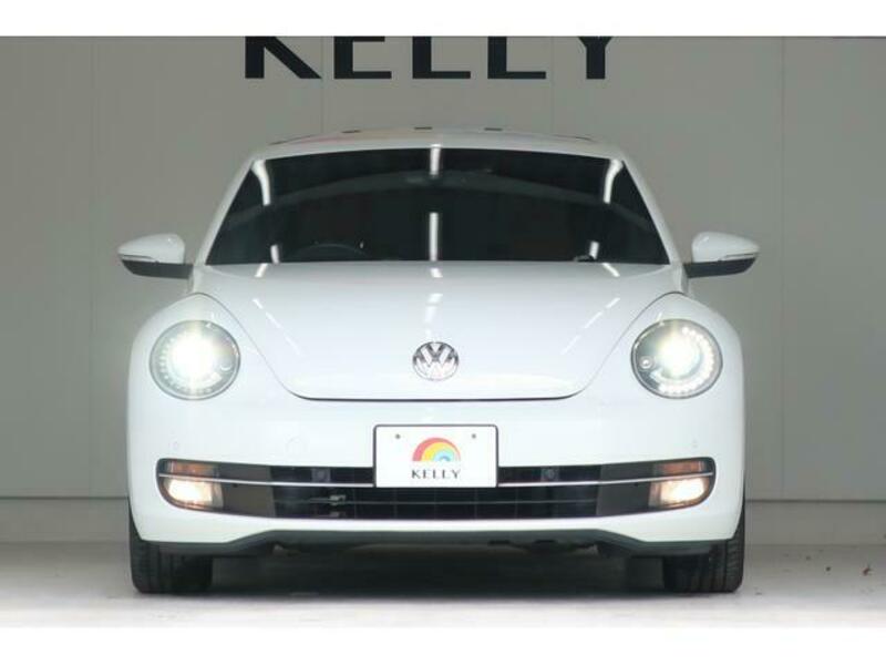 THE BEETLE