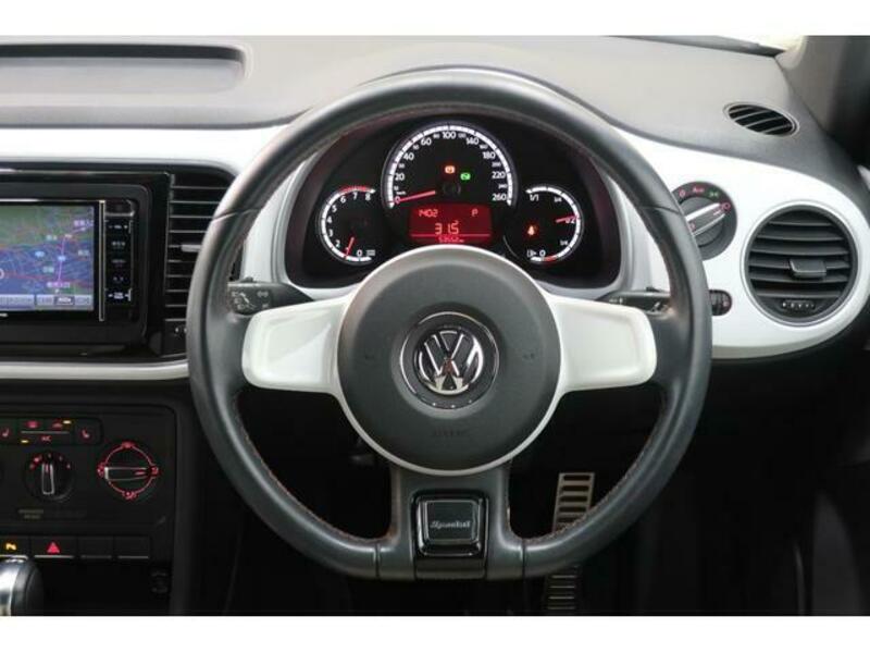 THE BEETLE