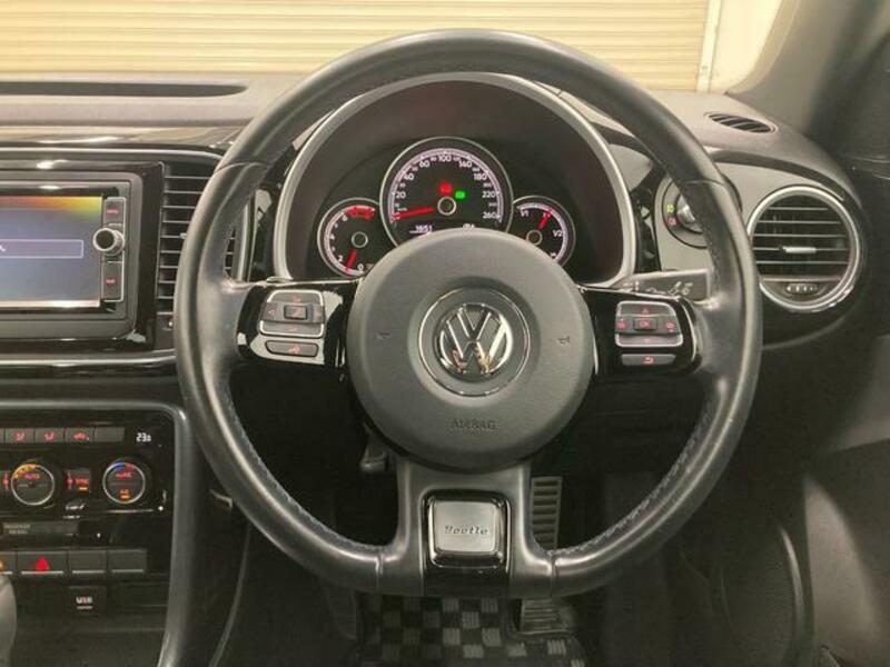 THE BEETLE