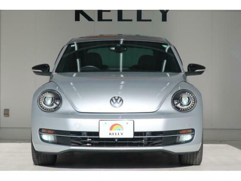 THE BEETLE