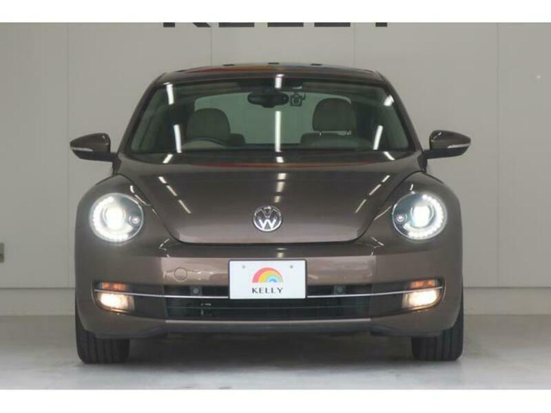 THE BEETLE