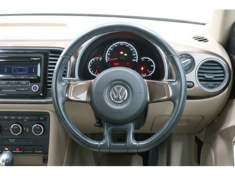 THE BEETLE