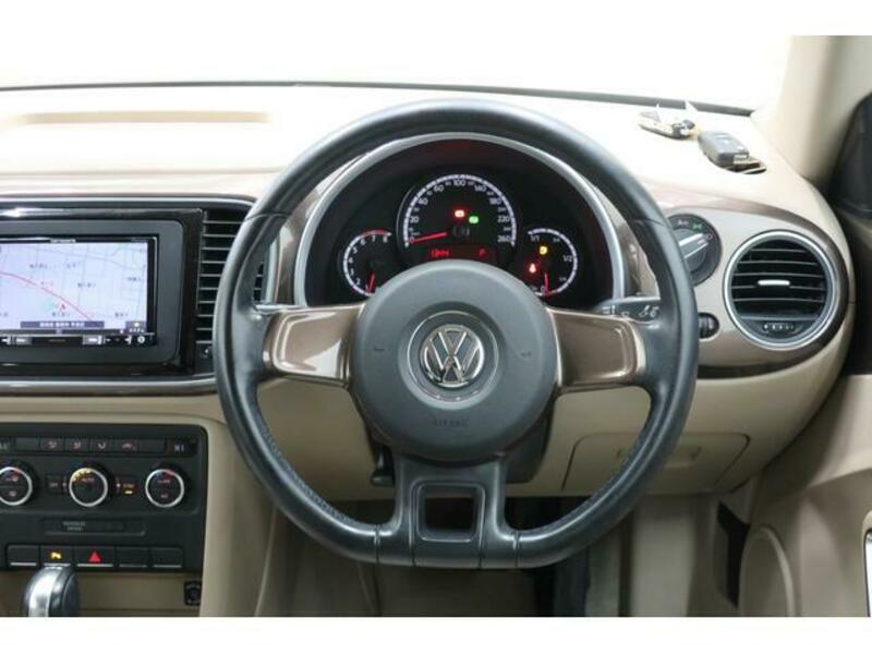 THE BEETLE