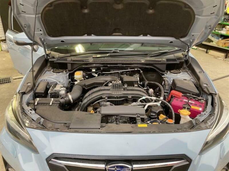 XV