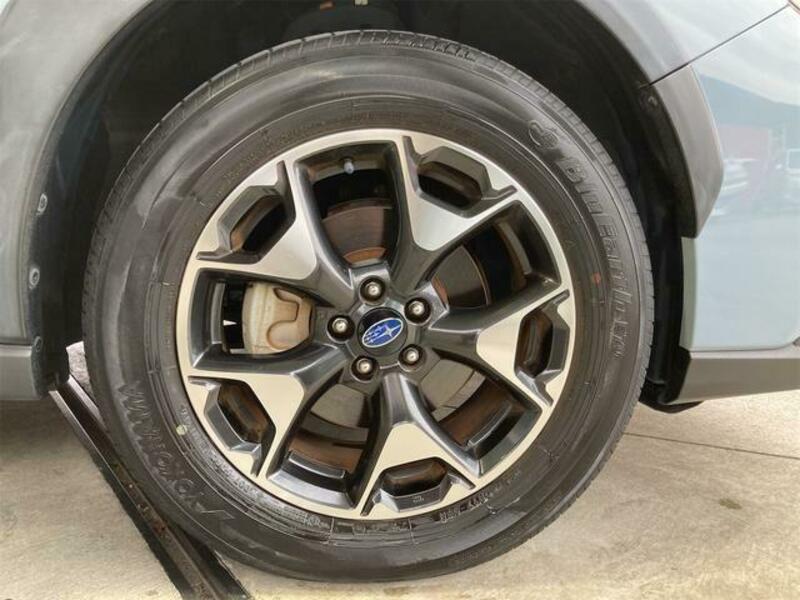 XV