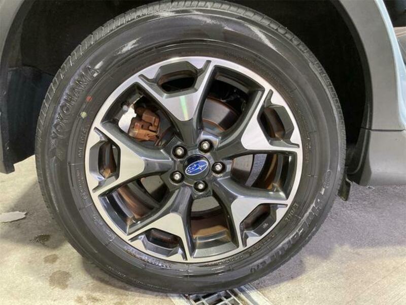 XV