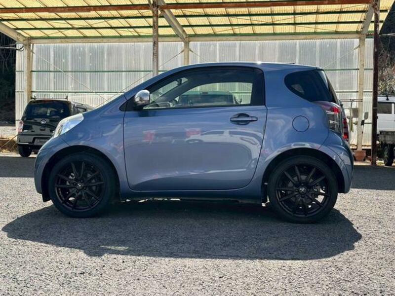 IQ