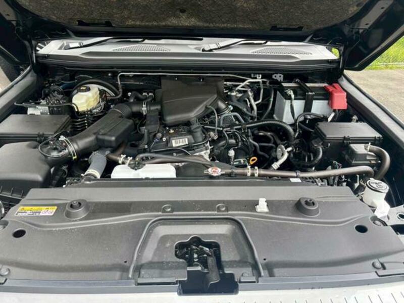 LAND CRUISER 250