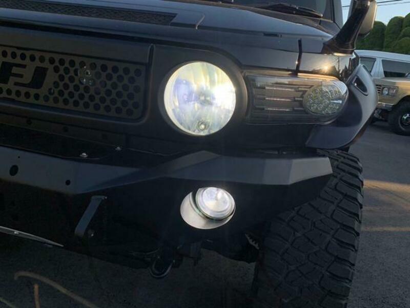 FJ CRUISER