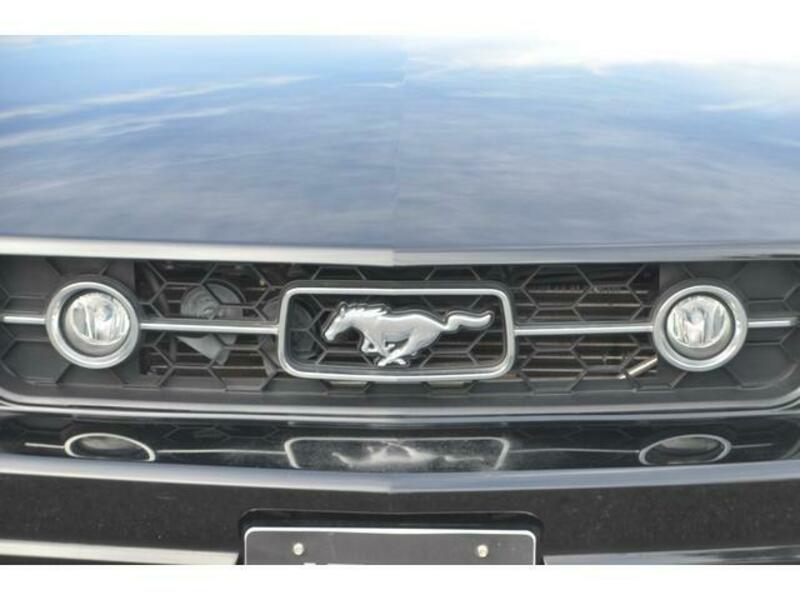 MUSTANG