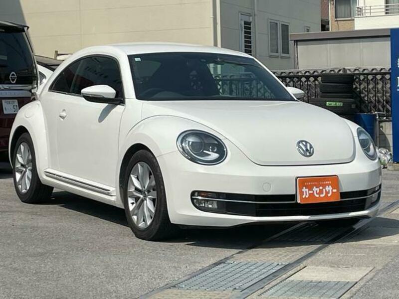 THE BEETLE