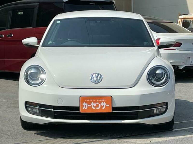 THE BEETLE