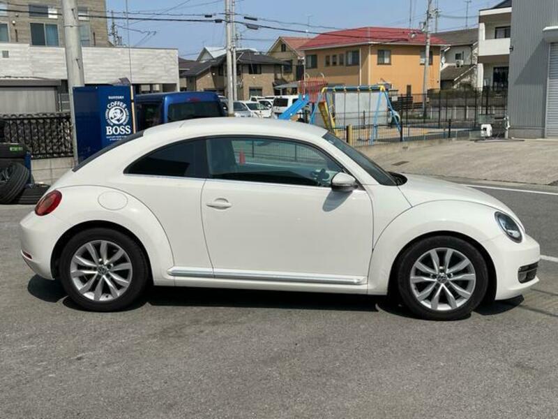 THE BEETLE