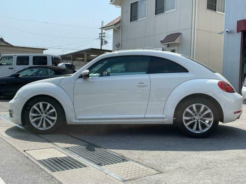 THE BEETLE