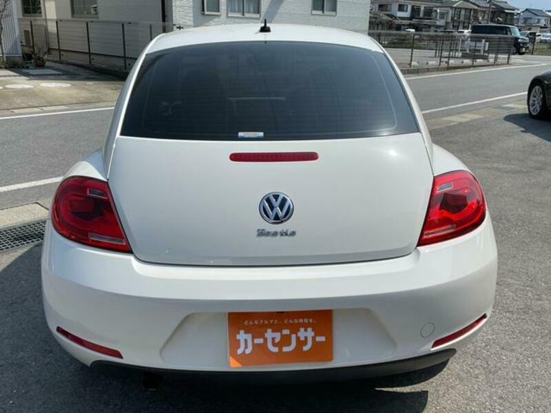 THE BEETLE