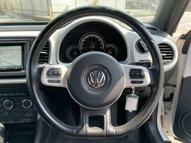THE BEETLE