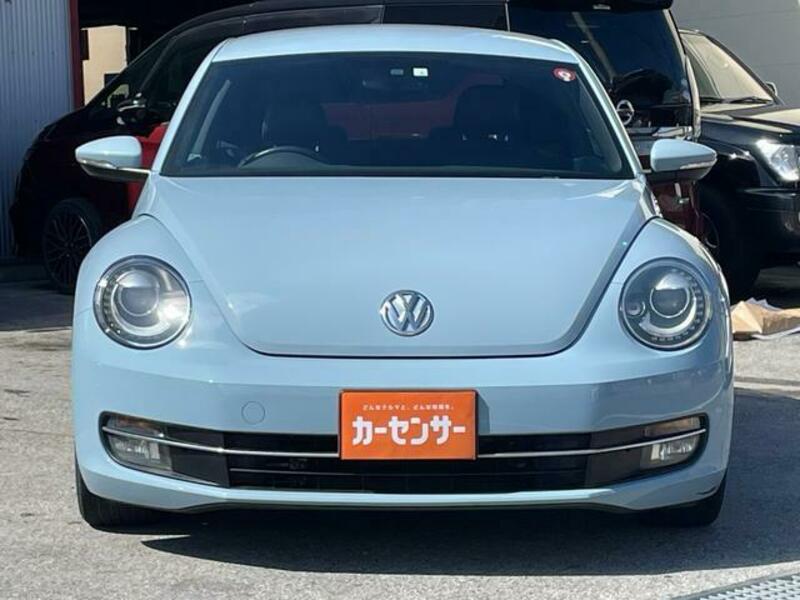 THE BEETLE
