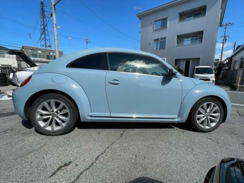 THE BEETLE