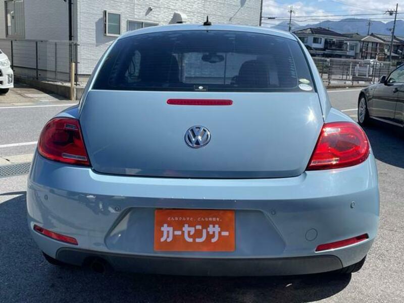 THE BEETLE