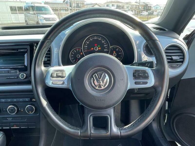 THE BEETLE