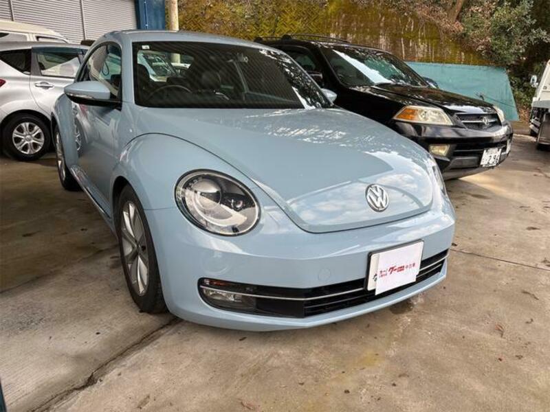 THE BEETLE