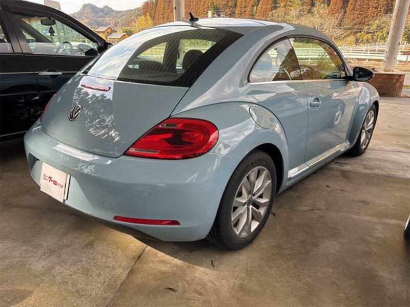 THE BEETLE