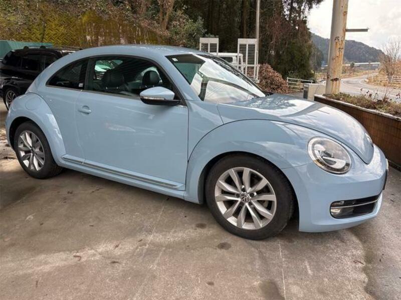 THE BEETLE