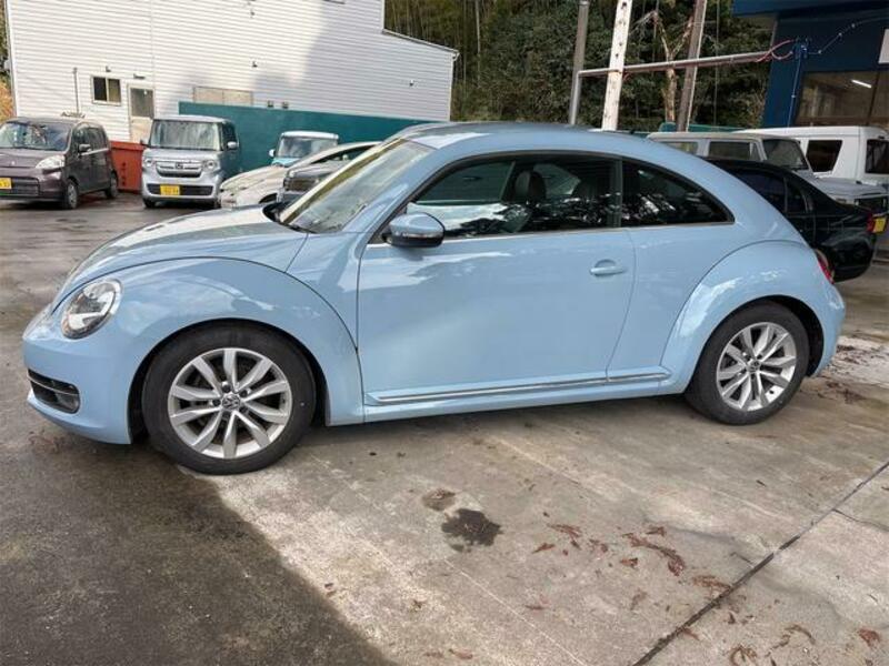 THE BEETLE