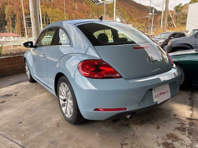 THE BEETLE