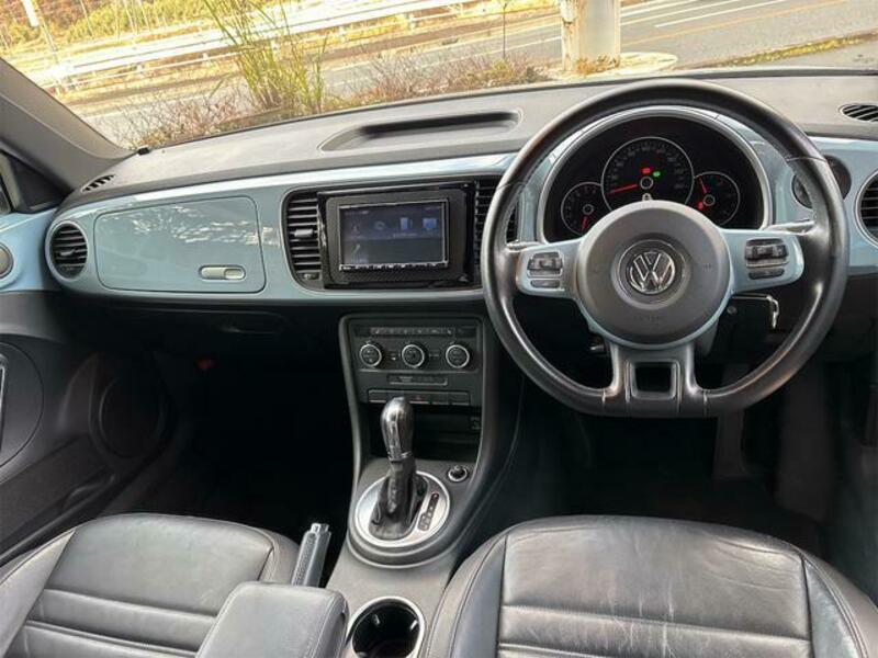 THE BEETLE