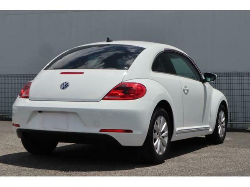 THE BEETLE