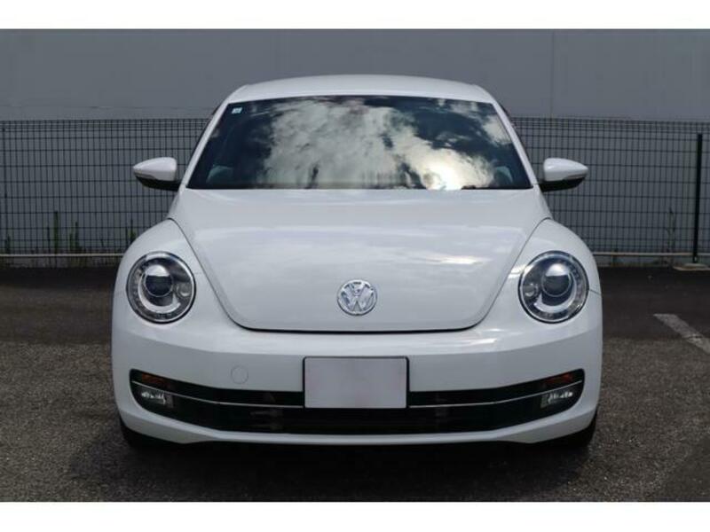 THE BEETLE