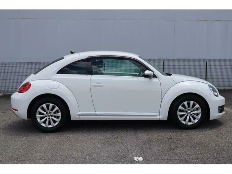 THE BEETLE