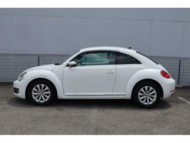 THE BEETLE