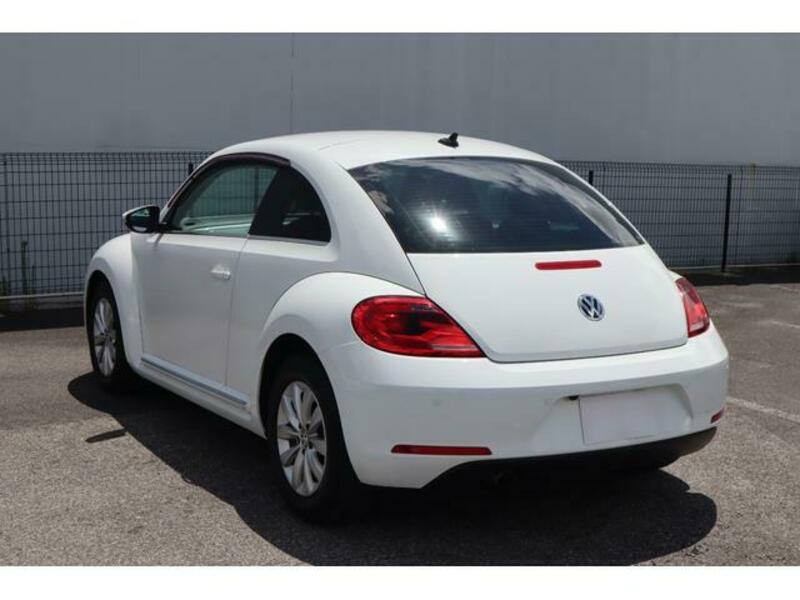 THE BEETLE