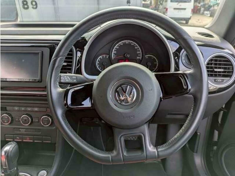 THE BEETLE