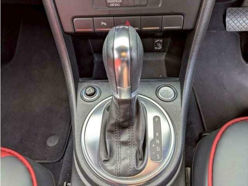 THE BEETLE