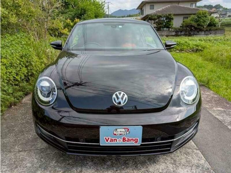 THE BEETLE